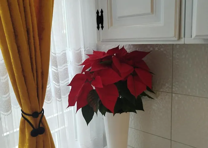 Kaja * نوفي ساد